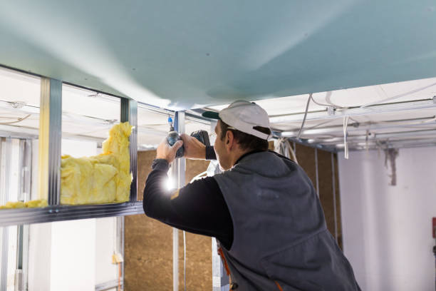 Best Commercial Insulation in Ivyland, PA